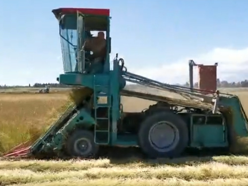 自走式麻機現場作業